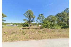 665 STARGAZER DRIVE, LAKE PLACID, FL 33852 - MLS#MFRA4674230
