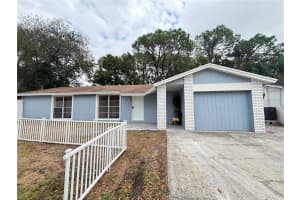 10101 Springtree Ct, TAMPA 10101 Springtree Ct, TAMPA
