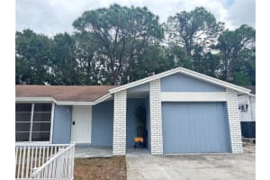 10101 SPRINGTREE COURT, TAMPA, FL 33615 - MLS#MFRA4674458
