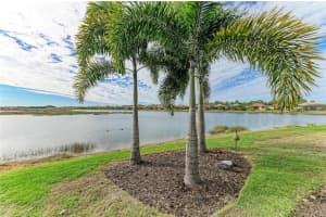 629 MARAVIYA BOULEVARD, NOKOMIS, FL 34275 - MLS#MFRA4674488