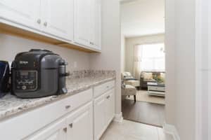 16130 MONTEREY GREENS CIRCLE, TAMPA, FL 33647 - MLS#MFRA4674510