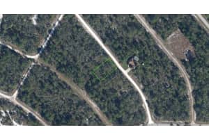1140 HERON STREET, LAKE PLACID, FL 33852 - MLS#MFRA4674511