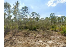 1140 HERON STREET, LAKE PLACID, FL 33852 - MLS#MFRA4674511