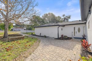 1021 15TH STREET, PALM HARBOR, FL 34683 - MLS#MFRA4674627