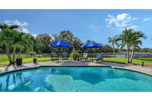 15425 MULHOLLAND ROAD, PARRISH, FL 34219 - MLS#MFRA4674725