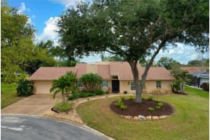 4228 Francis Bacon Ln, SARASOTA 4228 Francis Bacon Ln, SARASOTA