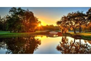 1952 HILLSONG TERRACE, PALM HARBOR, FL 34684 - MLS#MFRA4674912