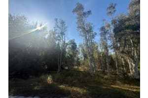 27335 LAS LOMAS DRIVE, PUNTA GORDA, FL 33955 - MLS#MFRA4675038