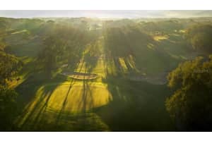 1614 SANDHILL COURT, PALM HARBOR, FL 34684 - MLS#MFRA4675200