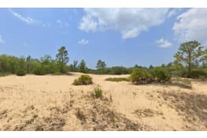 6248 HOBSON TERRACE, DUNNELLON, FL 34433 - MLS#MFRA4675228