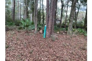 6690 91ST TRAIL, TRENTON, FL 32693 - MLS#MFRA4675681