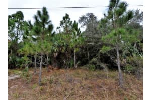 DERRICK ST, NORTH PORT, FL 34288 - MLS#MFRA4675935