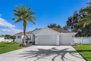 2808 DUNCAN TREE CIRCLE, VALRICO, FL 33594 - MLS#MFRA4676178