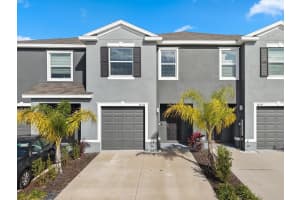 32335 TURTLE GRACE LOOP, WESLEY CHAPEL, FL 33545 - MLS#MFRA4676268