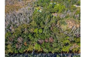 8725 QUAIL RUN DRIVE, WESLEY CHAPEL, FL 33544 - MLS#MFRA4676431