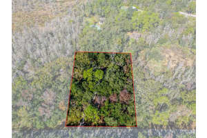 8725 QUAIL RUN DRIVE, WESLEY CHAPEL, FL 33544 - MLS#MFRA4676431