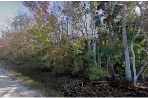 3034 RAGIS ROAD, EDGEWATER, FL 32132 - MLS#MFRA4676708