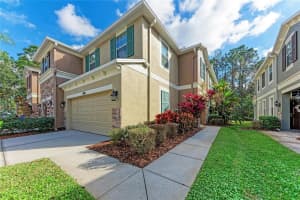 12525 SHIREBROOK COURT, TAMPA, FL 33626 - MLS#MFRA4676872