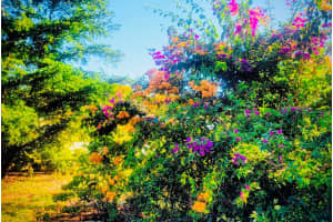 3530 SCHWALBE DRIVE, SARASOTA, FL 34235 - MLS#MFRA4677430