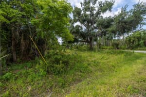 D ALLYON DR, NORTH PORT, FL 34287 - MLS#MFRA4677596