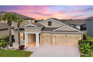 21813 BRISKE MORNING AVENUE, LAND O LAKES, FL 34637 - MLS#MFRA4677735