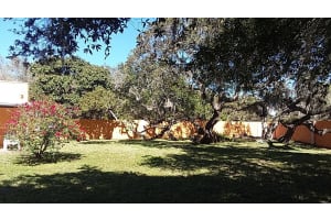 322 BUENA VISTA AVENUE, SARASOTA, FL 34243 - MLS#MFRA4677871