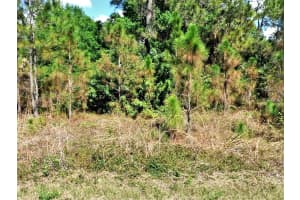 BIGNAY RD, NORTH PORT, FL 34288 - MLS#MFRA4677952