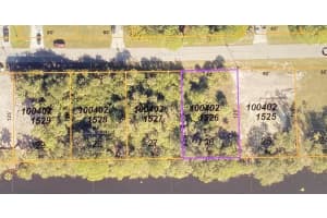 CARMELA AVE, NORTH PORT, FL 34286 Sold 02/11/26