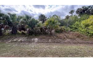 CARMELA AVE, NORTH PORT, FL 34286 Sold 02/11/26