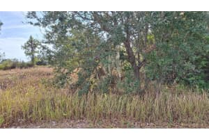 JAYLENE RD, NORTH PORT, FL 34288 - MLS#MFRA4678283