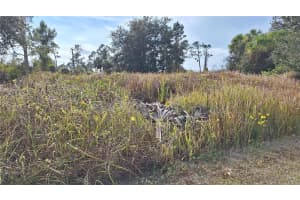 JAYLENE RD, NORTH PORT, FL 34288 - MLS#MFRA4678283