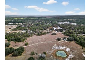 41901 PINE VALLEY DRIVE, PAISLEY, FL 32767 - MLS#MFRA4678312