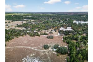 41901 PINE VALLEY DRIVE, PAISLEY, FL 32767 - MLS#MFRA4678312