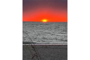 2295 BEACH ROAD, ENGLEWOOD, FL 34223 - MLS#MFRA4678427