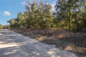 SW 109TH PLACE, DUNNELLON, FL 34432 - MLS#MFRA4678807
