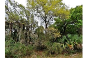 BACKERT RD., NORTH PORT, FL 34291 - MLS#MFRA4678814