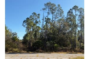 LANGLAIS DR, NORTH PORT, FL 34288 - MLS#MFRA4679066