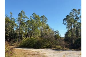 LANGLAIS DR, NORTH PORT, FL 34288 - MLS#MFRA4679066