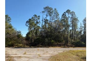 LANGLAIS DR, NORTH PORT, FL 34288 - MLS#MFRA4679066