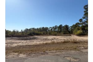 LANGLAIS DR, NORTH PORT, FL 34288 - MLS#MFRA4679071