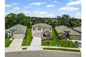 8219 TEA OLIVE TERRACE, PALMETTO, FL 34221 - MLS#MFRA4679355