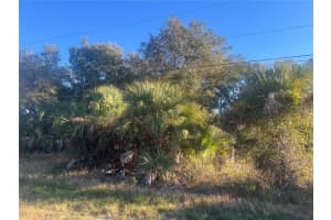 2503 54TH STREET, LEHIGH ACRES, FL 33976 - MLS#MFRA4679871