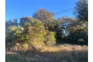 2503 54TH STREET, LEHIGH ACRES, FL 33976 - MLS#MFRA4679871