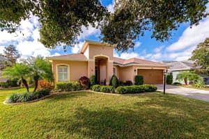 10651 OLD GROVE CIRCLE, BRADENTON, FL 34212 - MLS#MFRA4680045