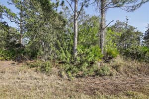 3124 VESSELS ROAD, PUNTA GORDA, FL 33980 - MLS#MFRA4680147