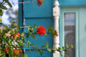 105 TUCKER AVENUE, SARASOTA, FL 34232 - MLS#MFRA4680183