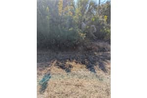 DE LEON DR, NORTH PORT, FL 34287 - MLS#MFRA4680279