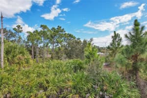 3402 VESSELS ROAD, PUNTA GORDA, FL 33980 - MLS#MFRA4680297