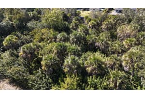 173 HOFFER STREET, PORT CHARLOTTE, FL 33953 - MLS#MFRA4680303
