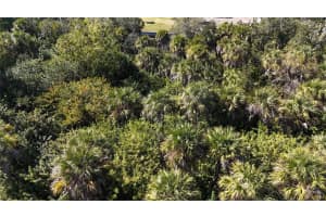 173 HOFFER STREET, PORT CHARLOTTE, FL 33953 - MLS#MFRA4680303